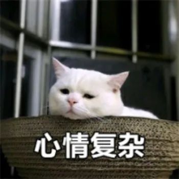 DƬ